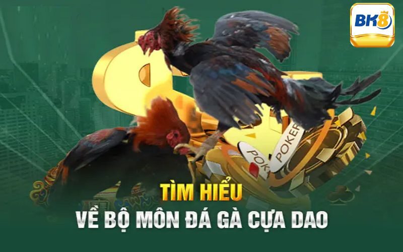 Đá Gà Cựa Dao - Bộ Môn Giải Trí Thú Vị & Độc Đáo Nhất 1 Tìm hiểu đôi nét về bộ môn đá gà cựa dao